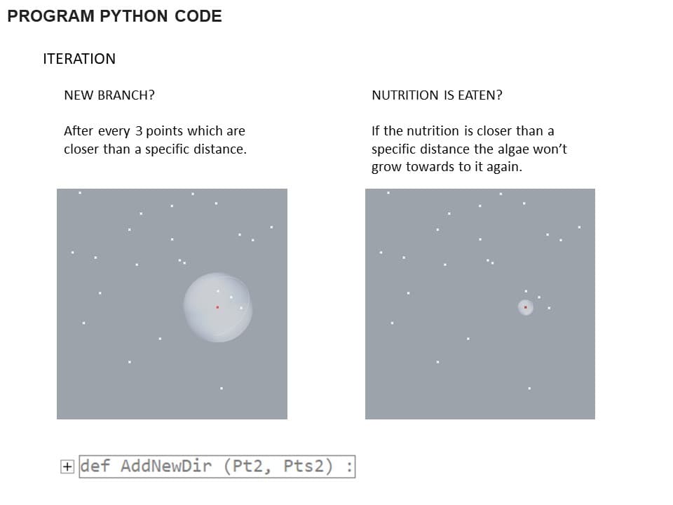 Simulation — branching behaviour