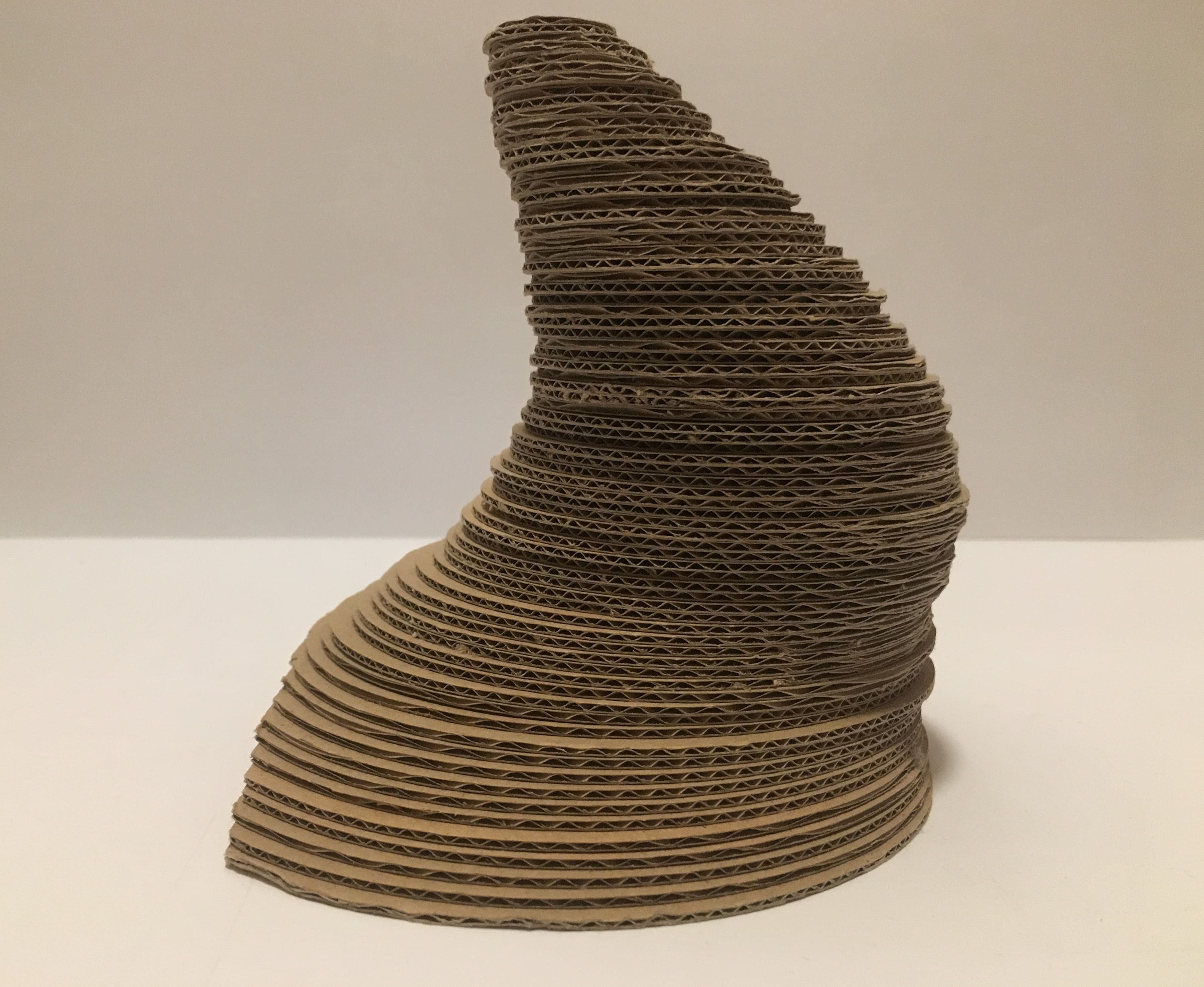 model — early semester work