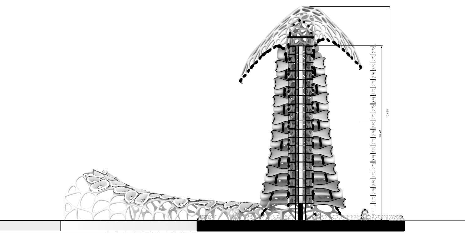 section